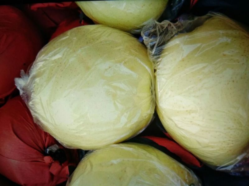 黄金梨350~400g纸袋