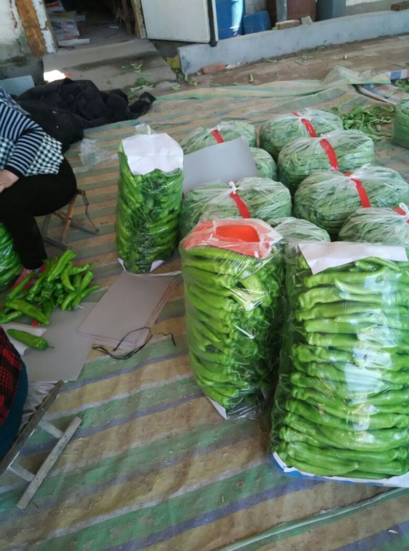 黄皮青椒5cm以上
