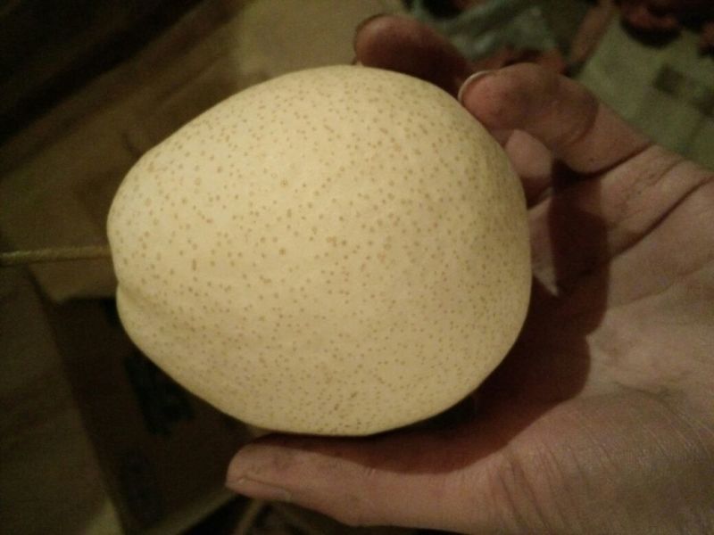 酥梨纸箱250~300g