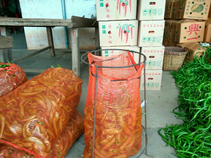 鲜辣椒3号8号线椒，精选辣椒产地代办代收诚信合作黄瓜尖椒