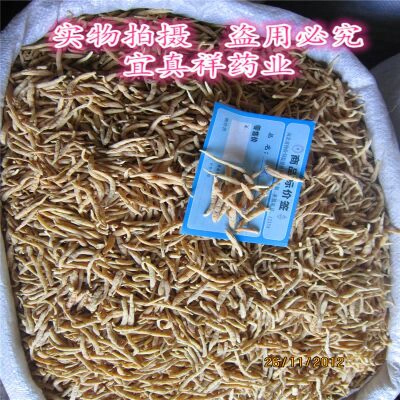 太子参