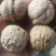 薄皮核桃40mm以上去皮干