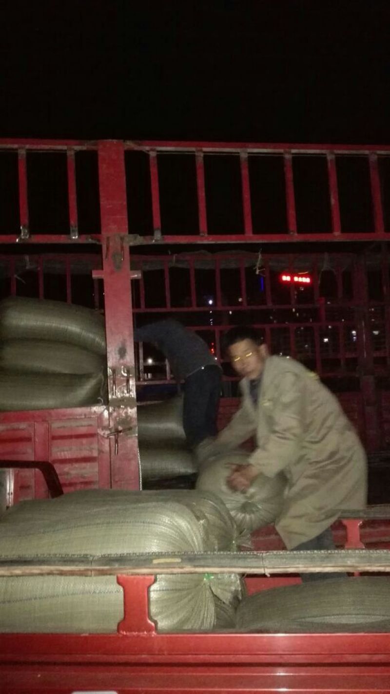 菜油一级