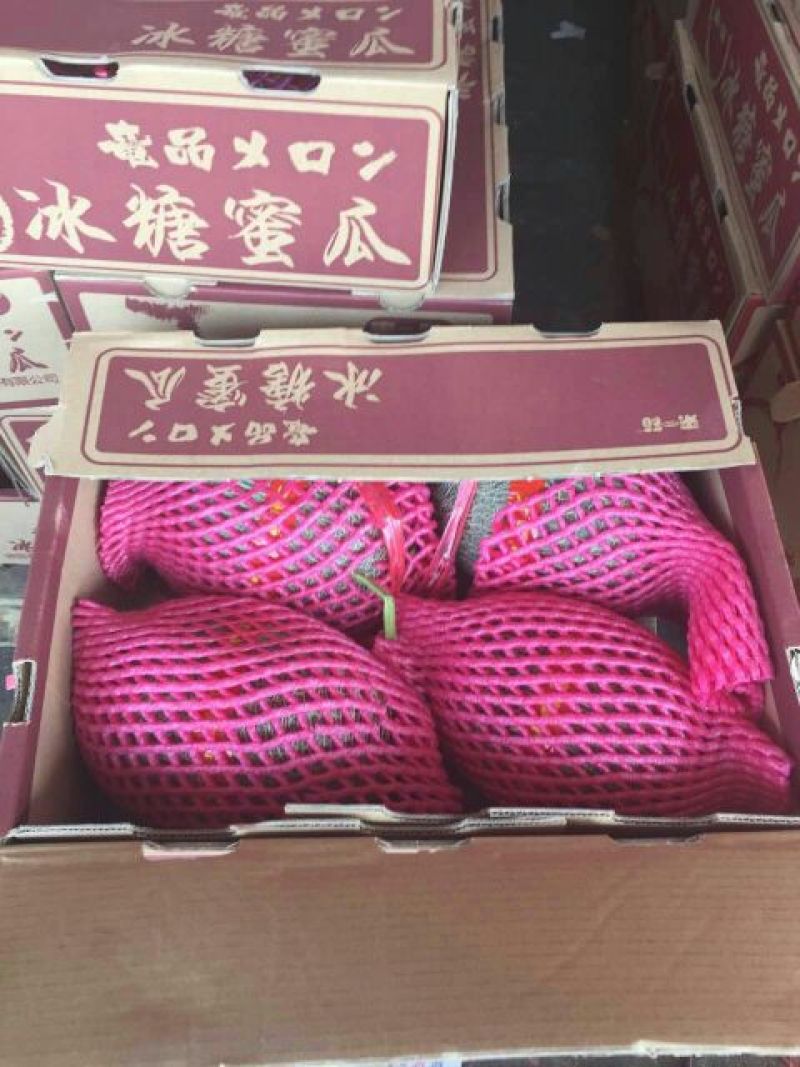 海南17号哈密瓜3斤以上长圆形