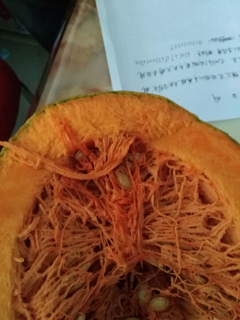 蜜本南瓜4~5斤以上长条形