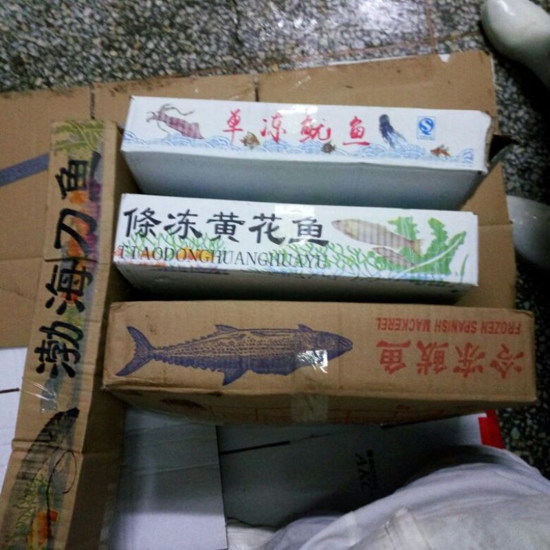 鲅鱼