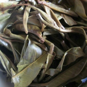 百年大树茶