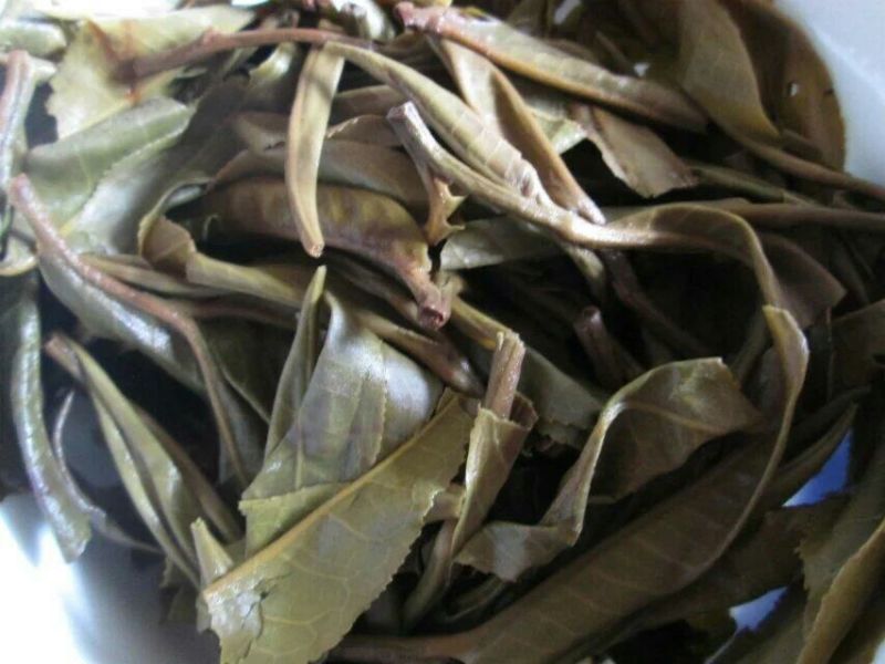百年大树茶