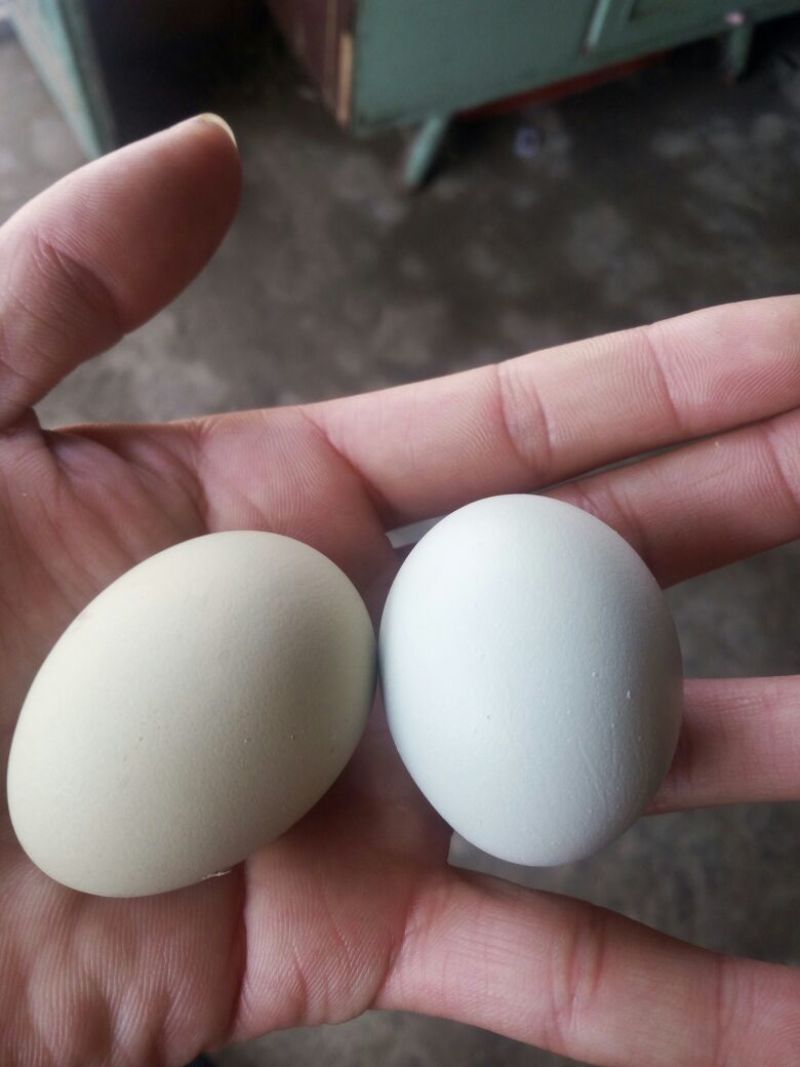 土鸡蛋食用50g以下