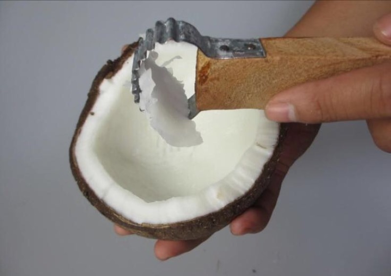 高种椰子