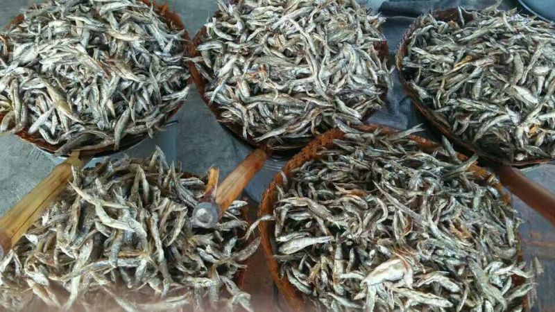 鱼干炸鱼干