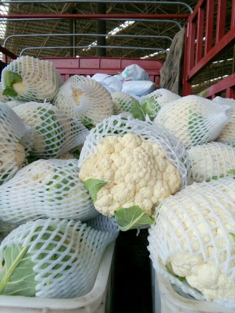 精品菜花，白面青梗花菜各大市场发货，量大优惠全国发货