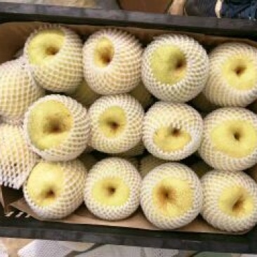 皇冠梨250~300g纸加膜