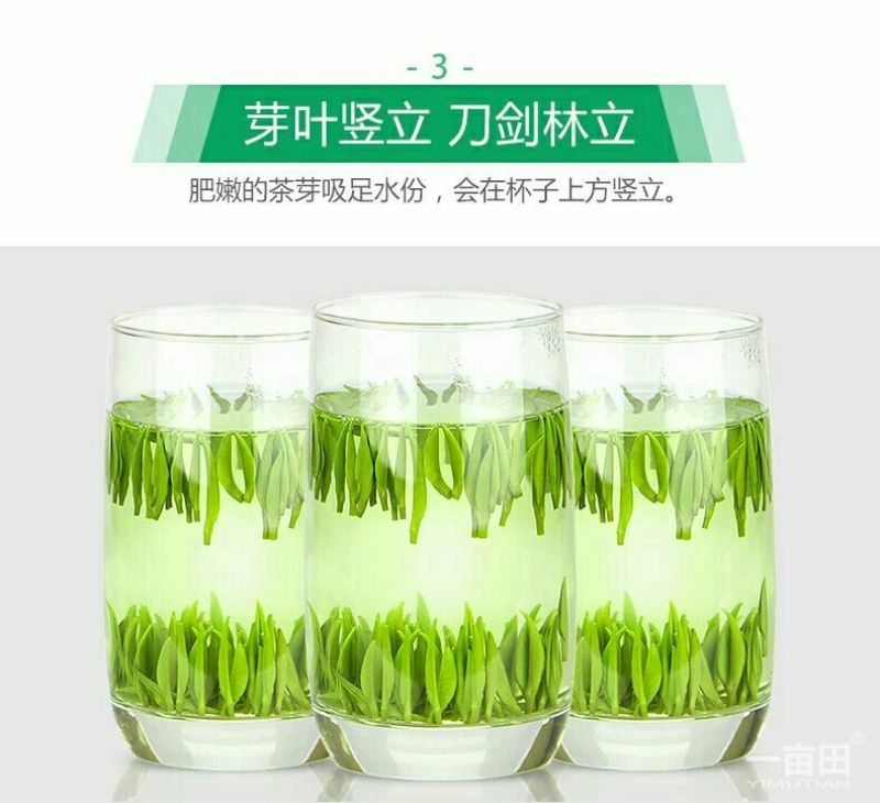 观音茶特级