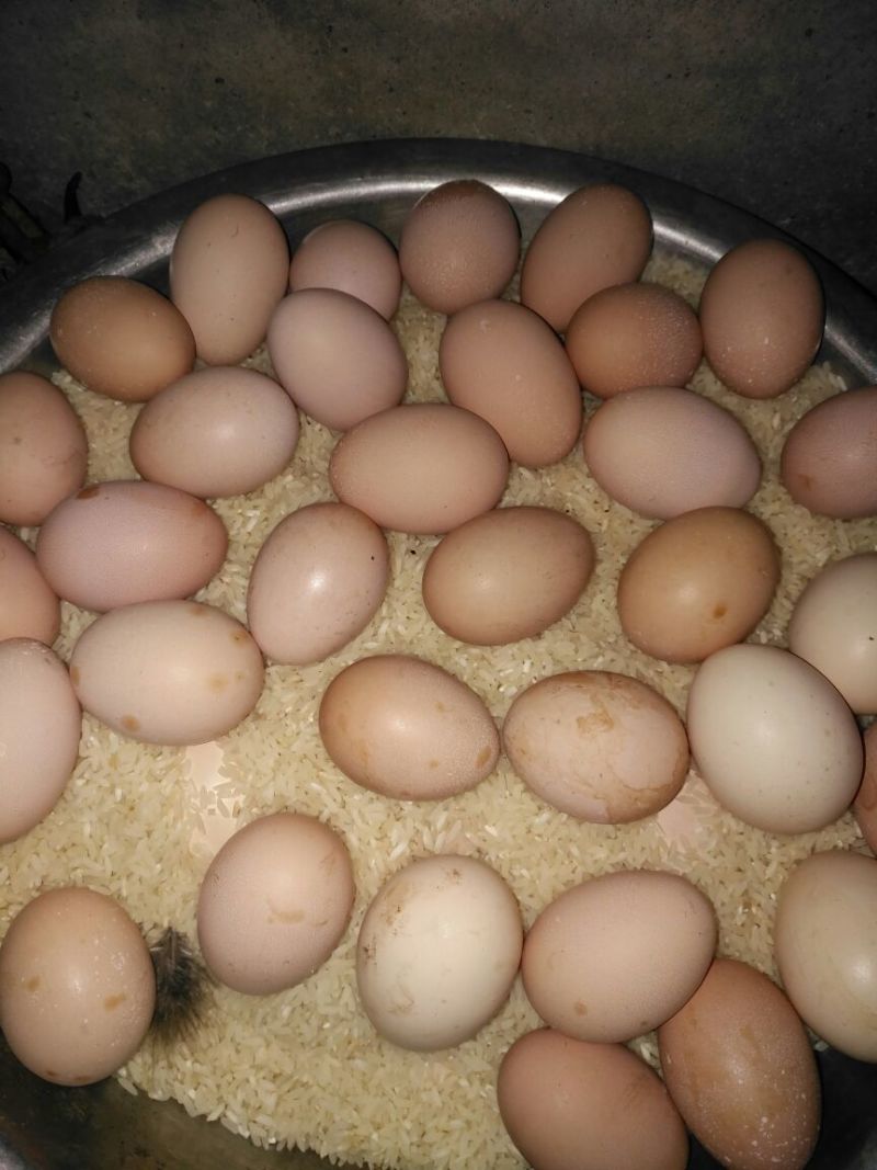 土鸡蛋食用50~60g