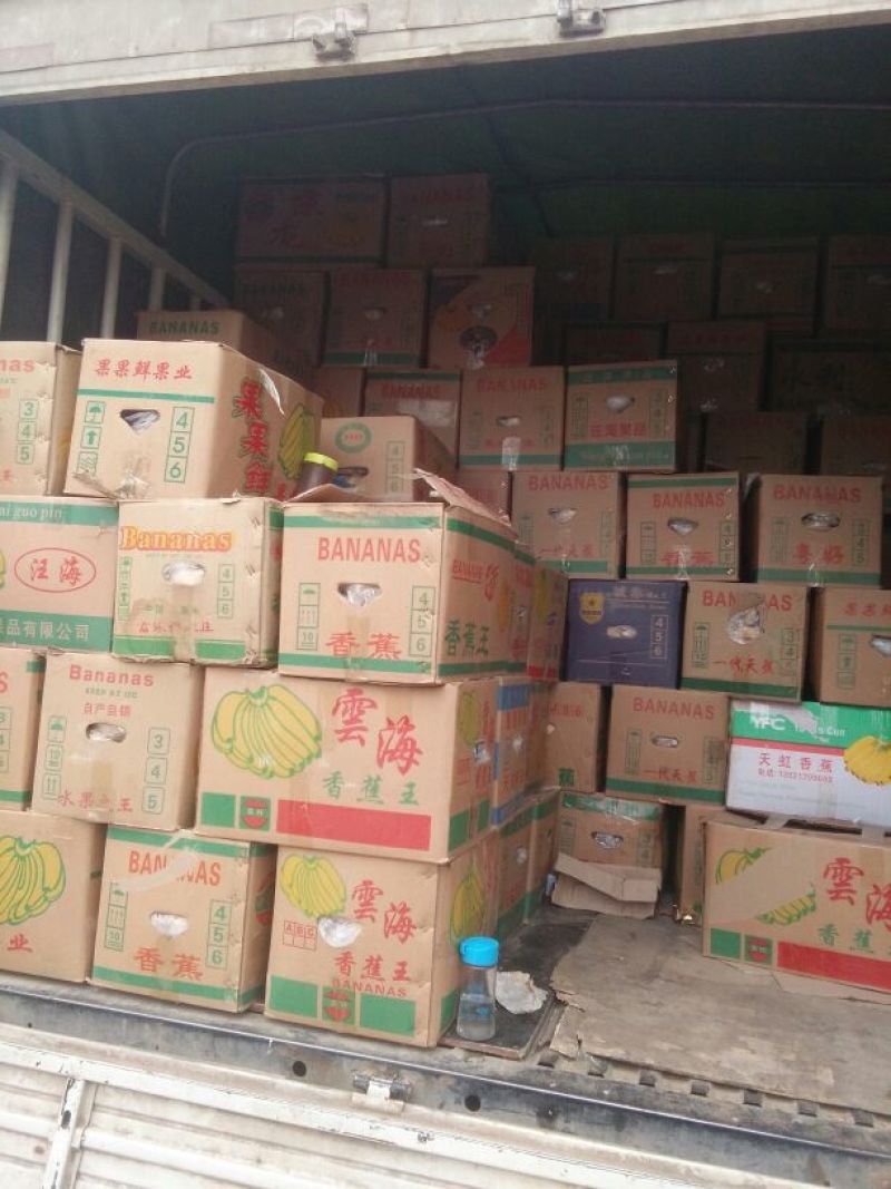 砀山梨