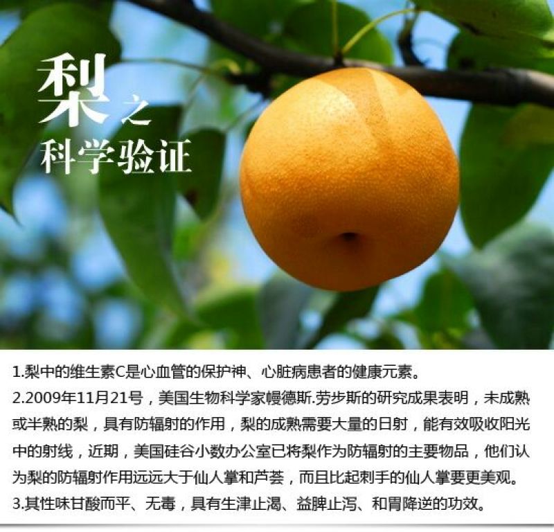 丰水梨250~300g纸袋