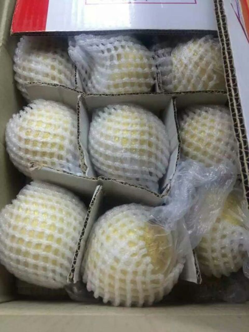 酥梨150~200g纸箱