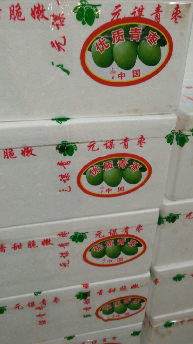 青枣50g以上欢迎您来收购欢迎您来品尝