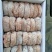 柿饼1~2两