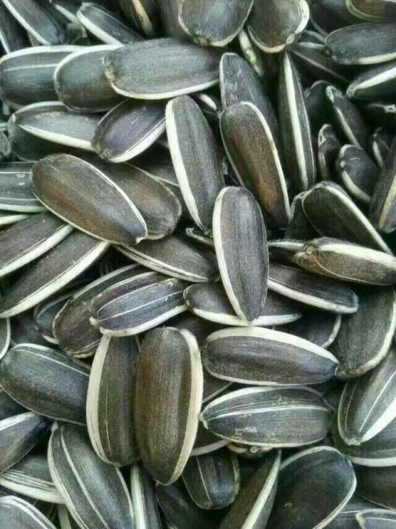 美葵601