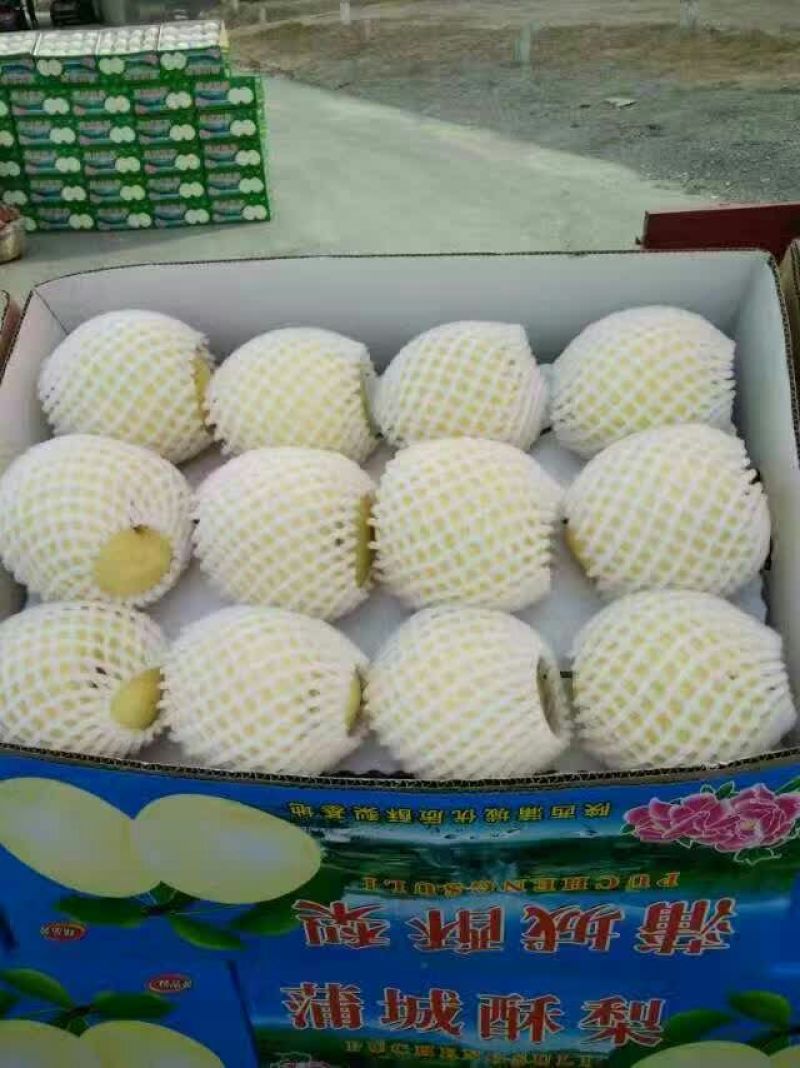 贡梨纸箱
