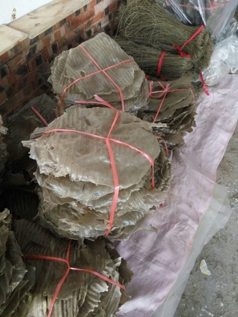 红薯粉皮散装手工粉皮