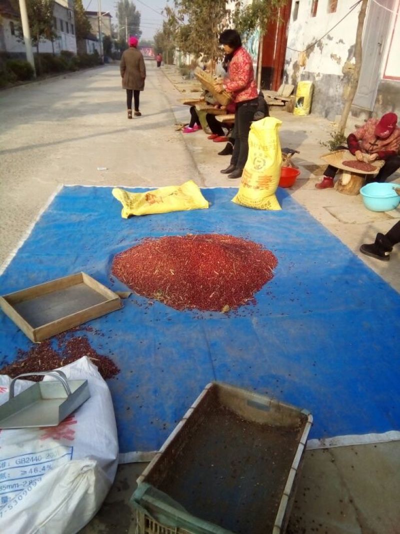 红豆散装