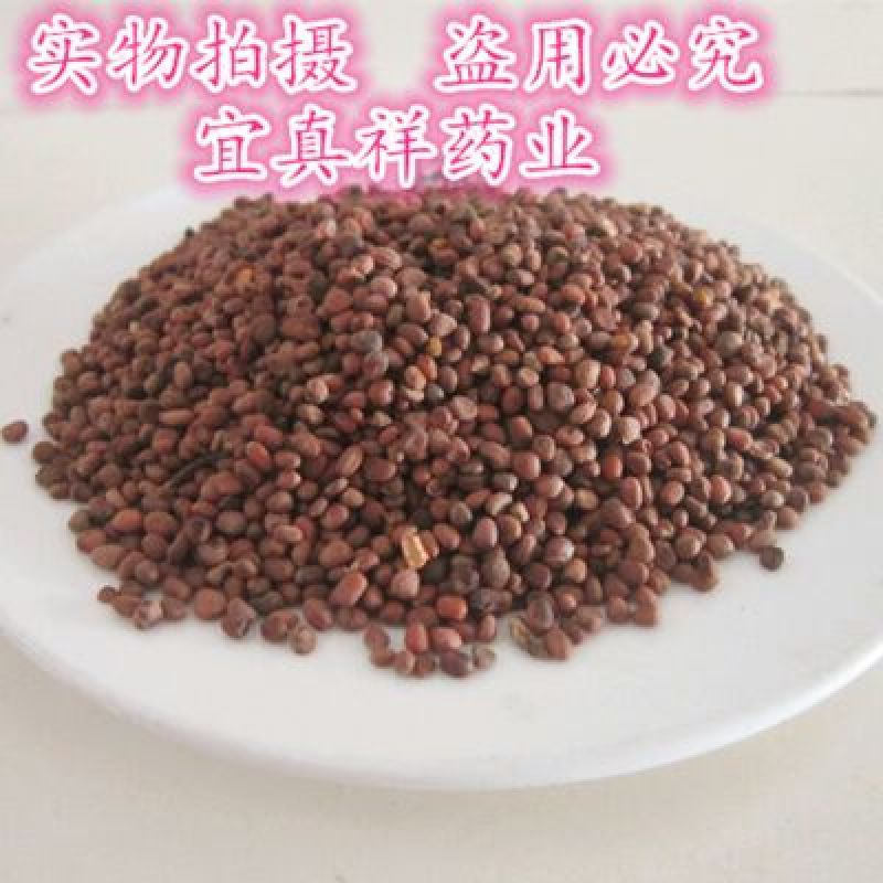莱菔子