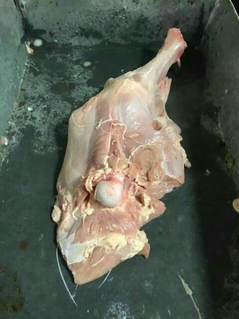 牛棒骨，脖骨，带骨后腿，带骨前腿，牛排，前腿肉，后腿肉