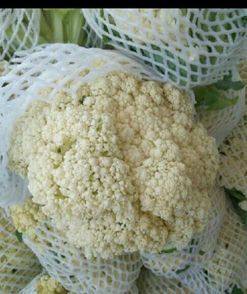 白花菜包装