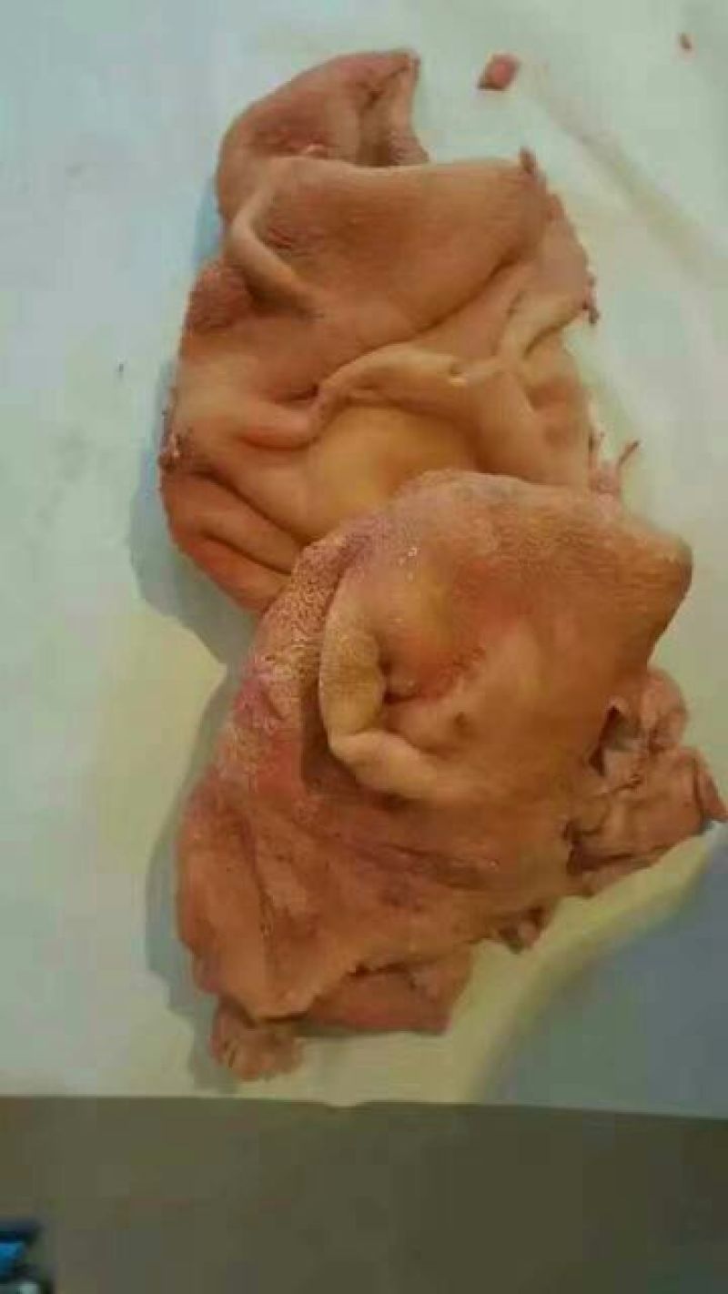 牛肉干黄牛肉鲜肉