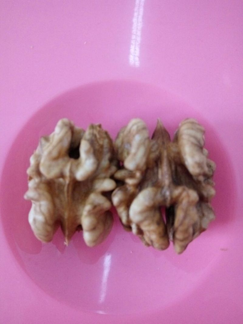 纸皮核桃去皮干