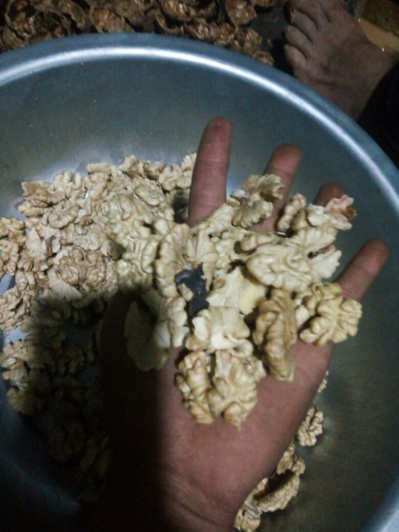 核桃去皮干