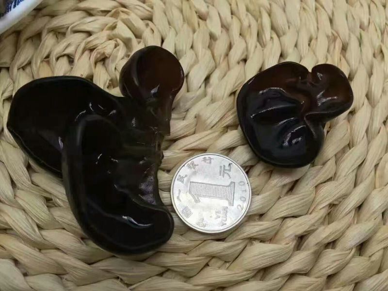 黑木耳特级