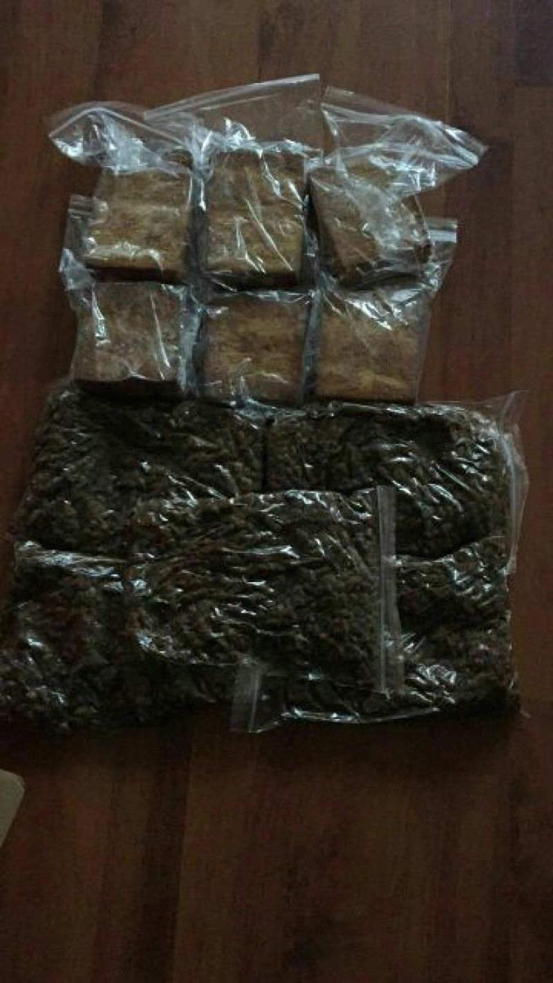 豆豉