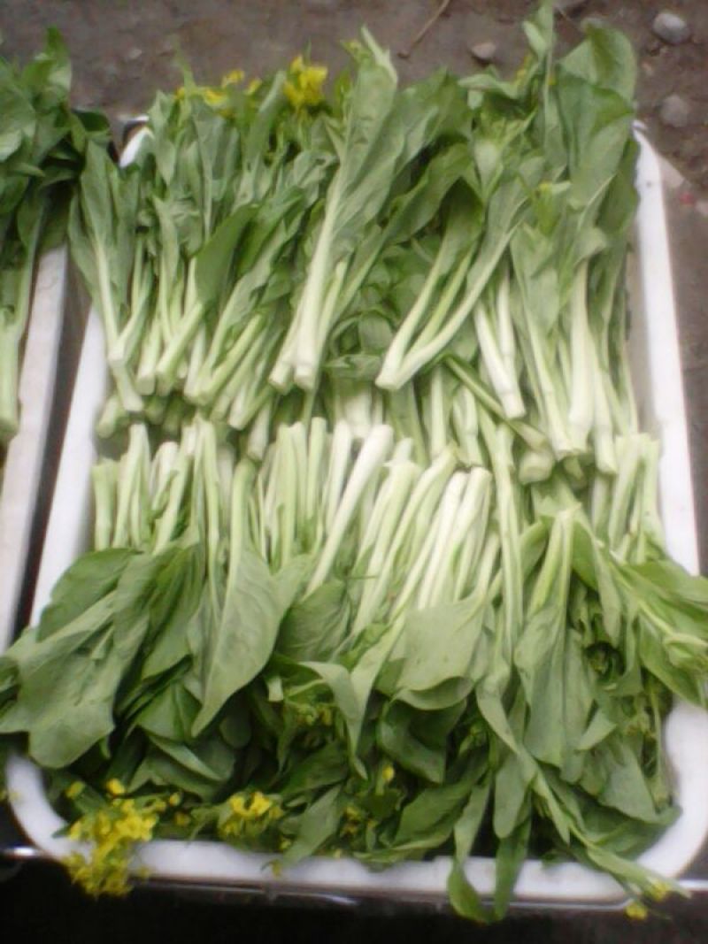 蔬菜