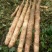 淮山药4~6厘米一级手捡50~70厘米