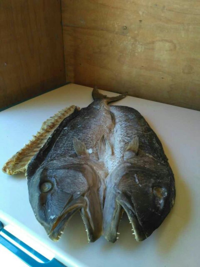 鱼干