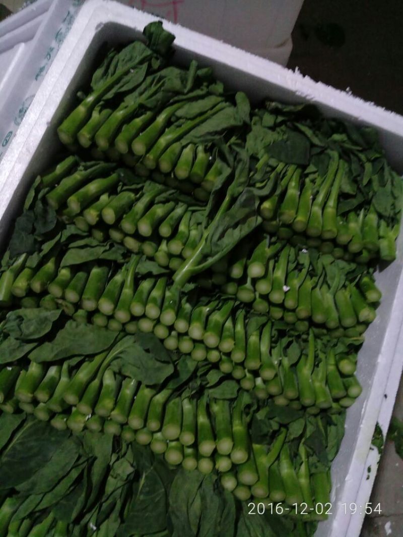 蔬菜