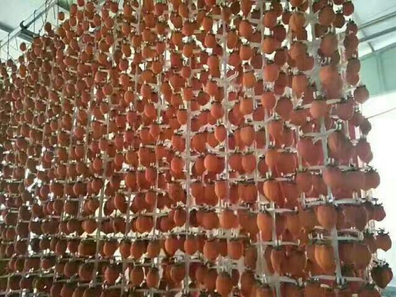 柿饼1~2两