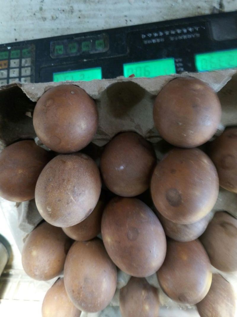 土鸡蛋食用40~50g