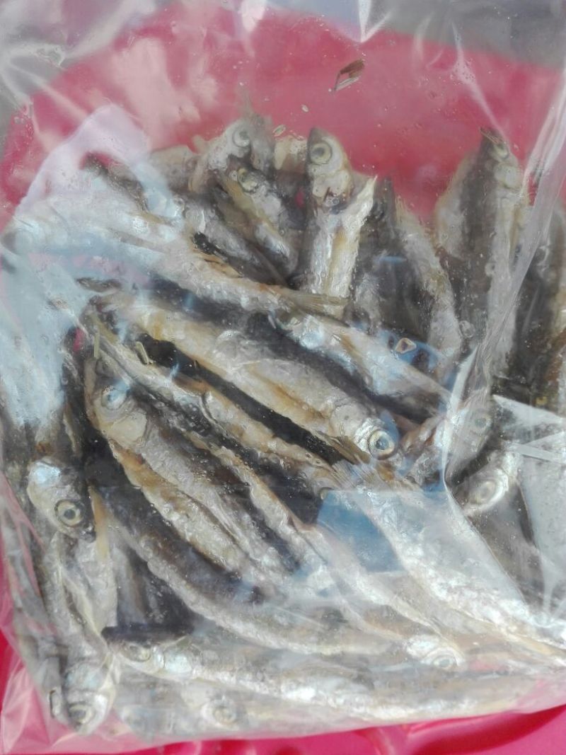 河汊小干鱼