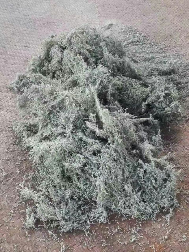 藤茶特级
