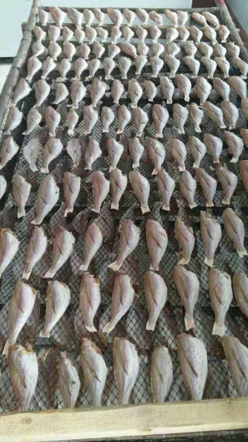 银鱼干
