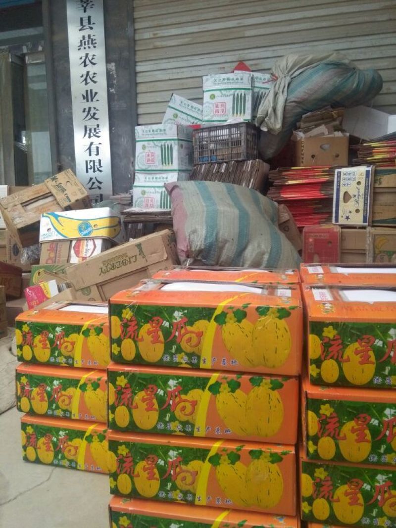 新甜哈密瓜3斤以上长圆形
