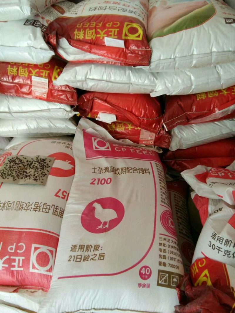 猪饲料3个月