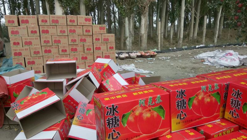 冰糖心苹果阿克苏冰糖心红富士