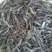 河虾活虾26~30只/kg