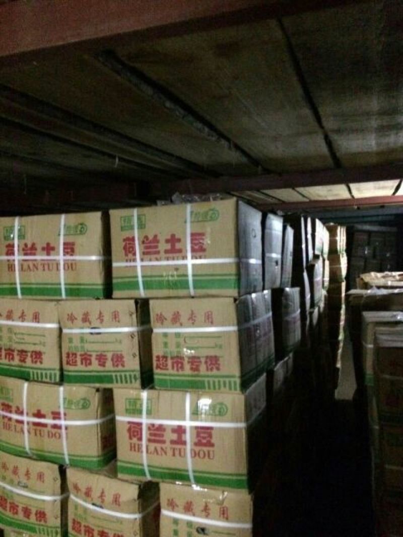 荷兰十五土豆3两通天光腚货